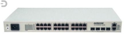 Коммутатор Raisecom