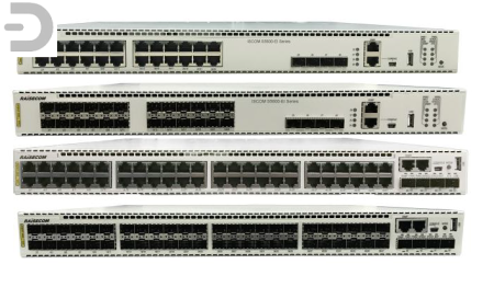 Коммутатор Raisecom