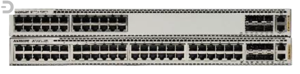 Коммутатор Raisecom